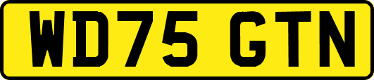 WD75GTN