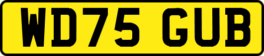 WD75GUB