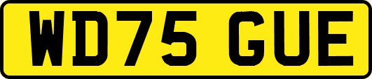 WD75GUE