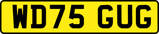 WD75GUG