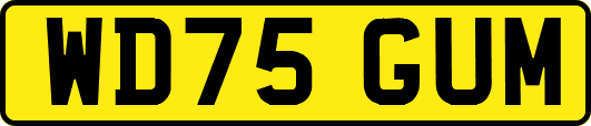 WD75GUM