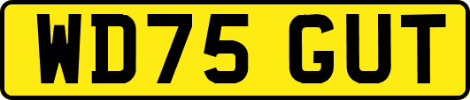 WD75GUT
