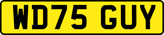 WD75GUY