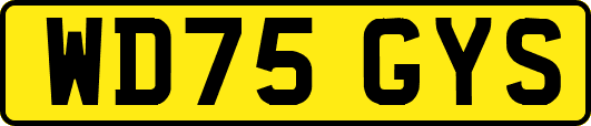 WD75GYS