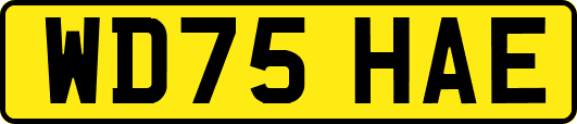 WD75HAE