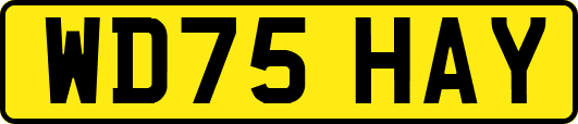 WD75HAY