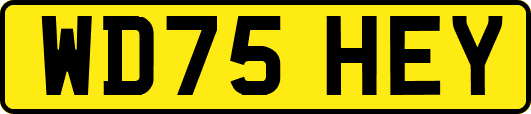 WD75HEY