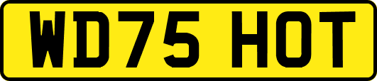 WD75HOT