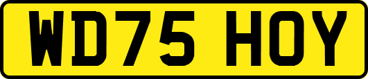WD75HOY