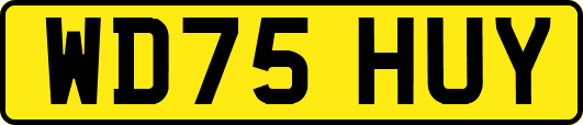 WD75HUY