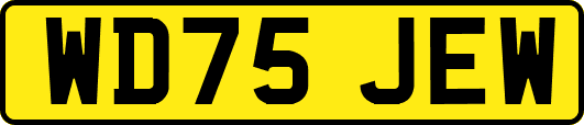 WD75JEW