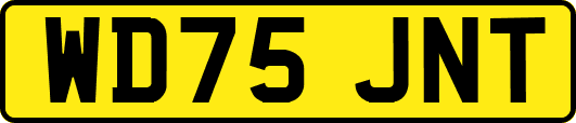 WD75JNT