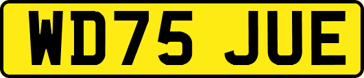 WD75JUE
