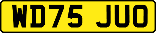 WD75JUO