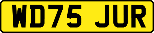 WD75JUR