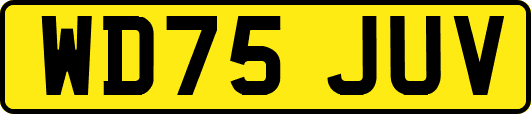 WD75JUV