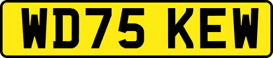 WD75KEW