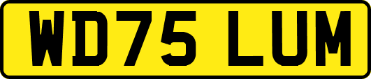 WD75LUM