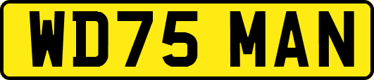 WD75MAN