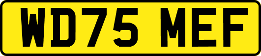 WD75MEF