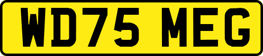 WD75MEG