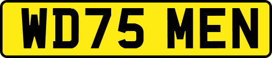 WD75MEN