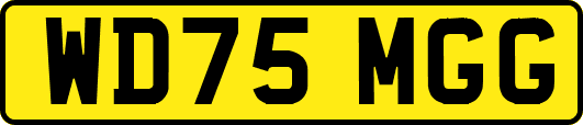 WD75MGG