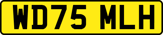 WD75MLH