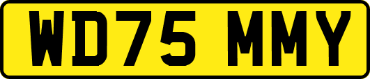 WD75MMY