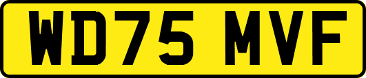 WD75MVF