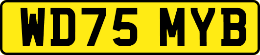 WD75MYB