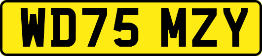 WD75MZY