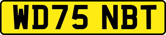 WD75NBT