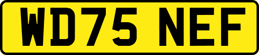 WD75NEF