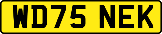 WD75NEK