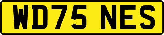 WD75NES