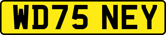 WD75NEY