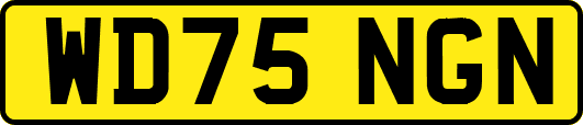 WD75NGN