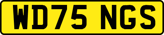 WD75NGS
