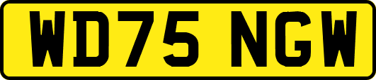 WD75NGW
