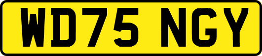 WD75NGY