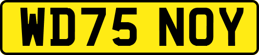 WD75NOY