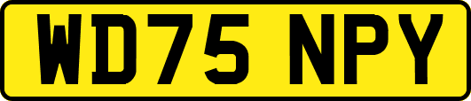 WD75NPY