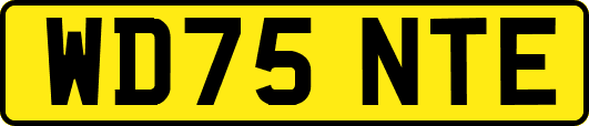 WD75NTE