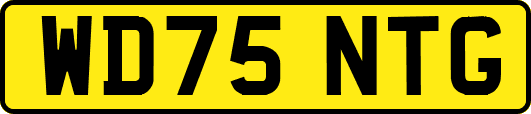 WD75NTG