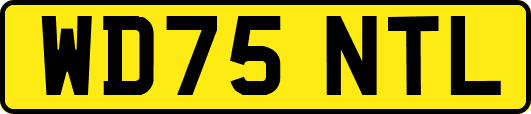 WD75NTL