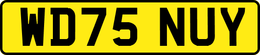 WD75NUY