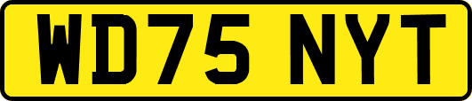 WD75NYT