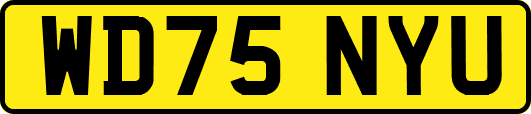 WD75NYU
