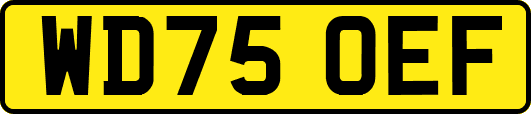 WD75OEF